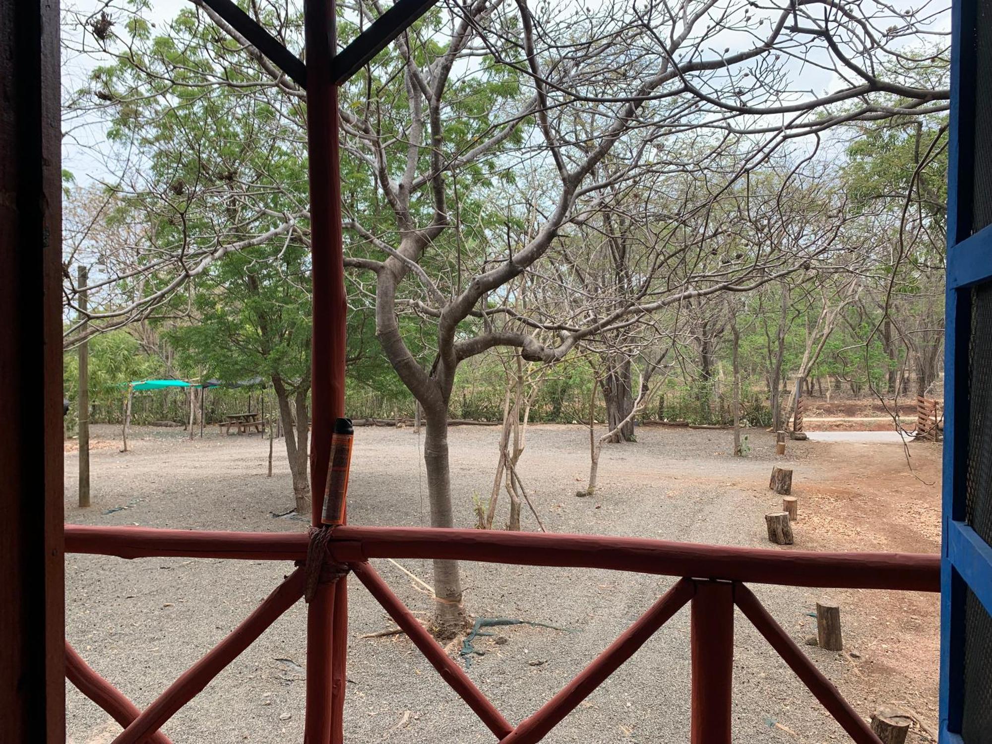 פלאיה אביאנאס Nieves Surf Hostel And Camping מראה חיצוני תמונה